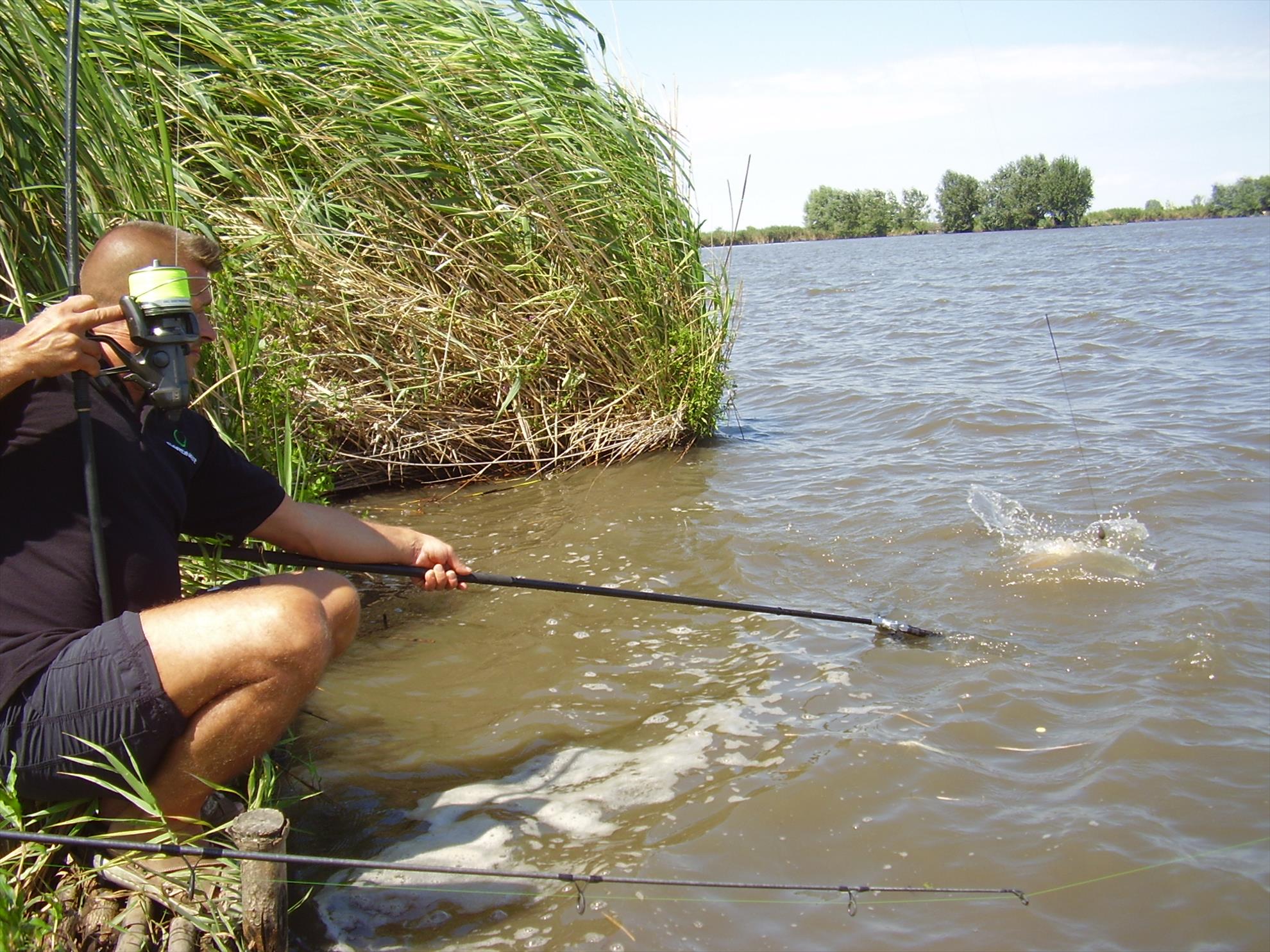 Alejandro Carp Team - Ohat Ungaria 2013 - p5060007.JPG